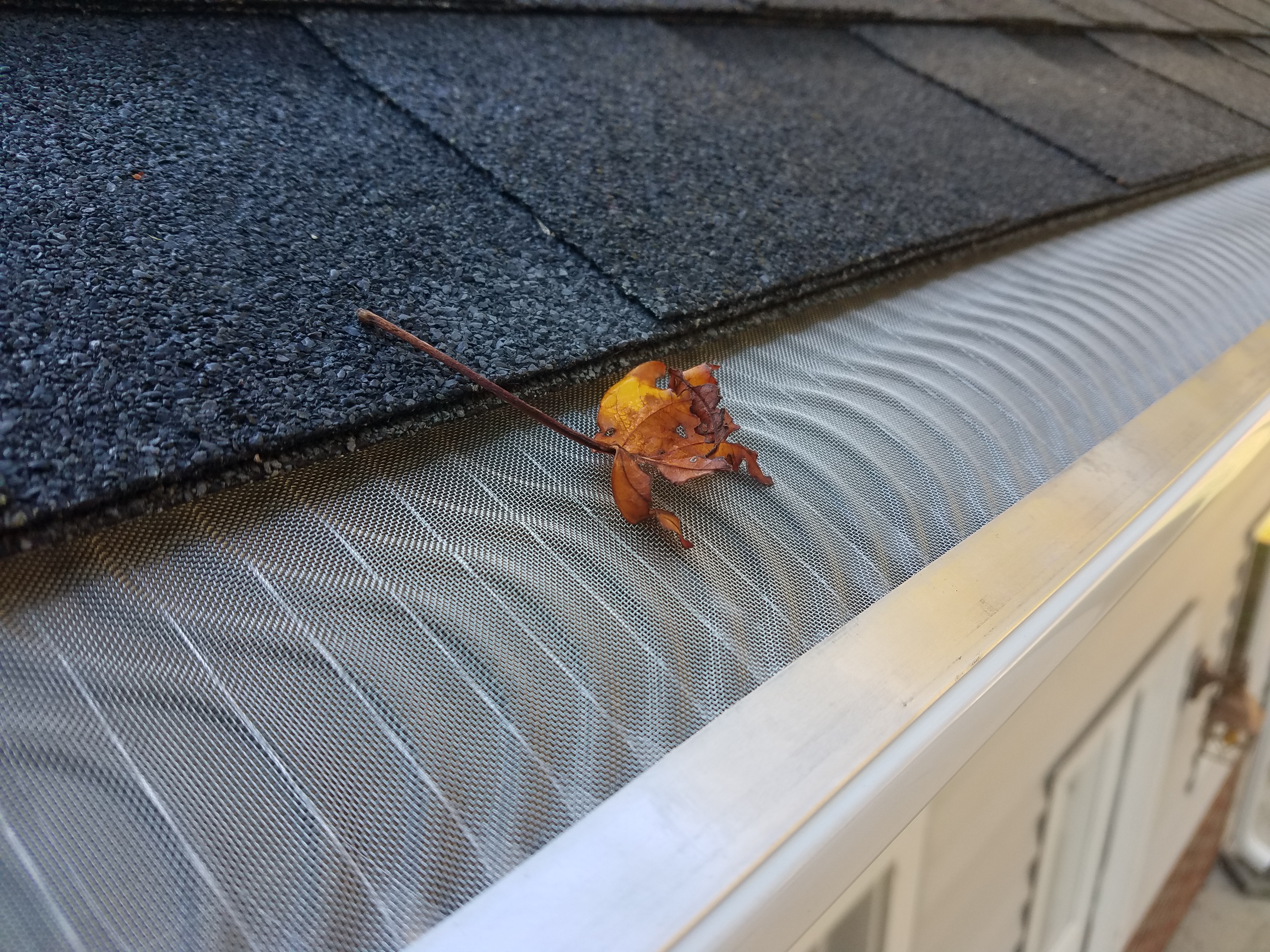 Gutter guards photo 1